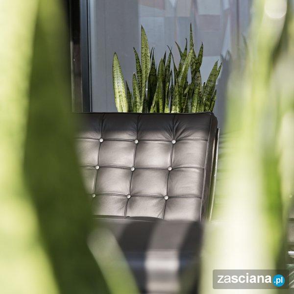Galeria zdjęć osiedla