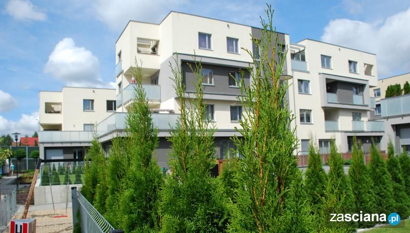 Galeria zdjęć osiedla