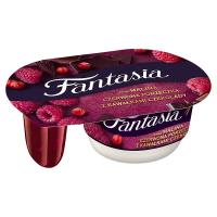 Fantasia Jogurt kremowy Smak malina czerwona porzeczka z kawałkami czekolady 116 g
