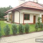 Galeria zdjęć osiedla Leśne