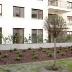 Galeria zdjęć osiedla Apartamenty Przy Krasińskiego