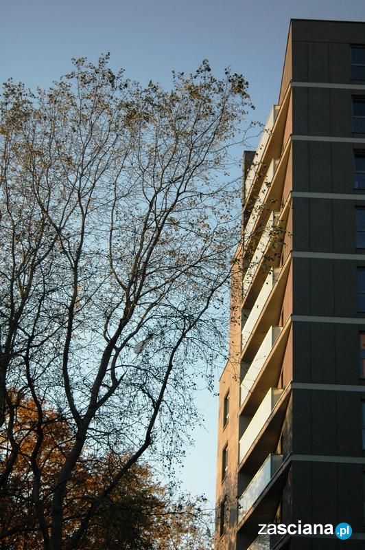 Galeria zdjęć osiedla